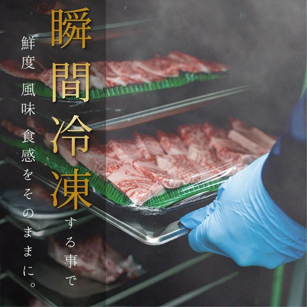 阿波牛特選焼肉セット（500g）